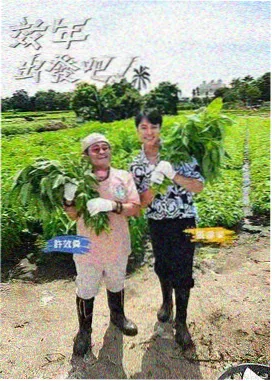 时代影视练习素材色卡与调色台